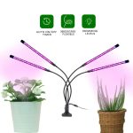 LED lampa za biljke — u upotrebi