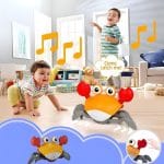 muzička kraba sa senzorom pokreta — detalji
