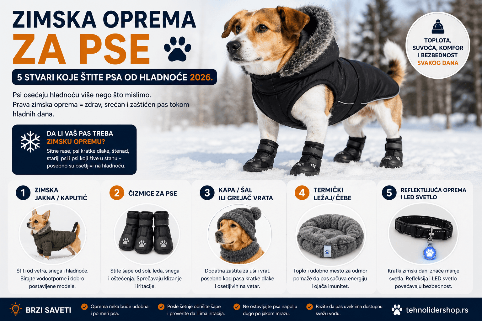 Zimska oprema za pse — 5 stvari koje štite psa od hladnoće