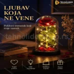 Ruža u Staklenom zvonu sa LED svetlima