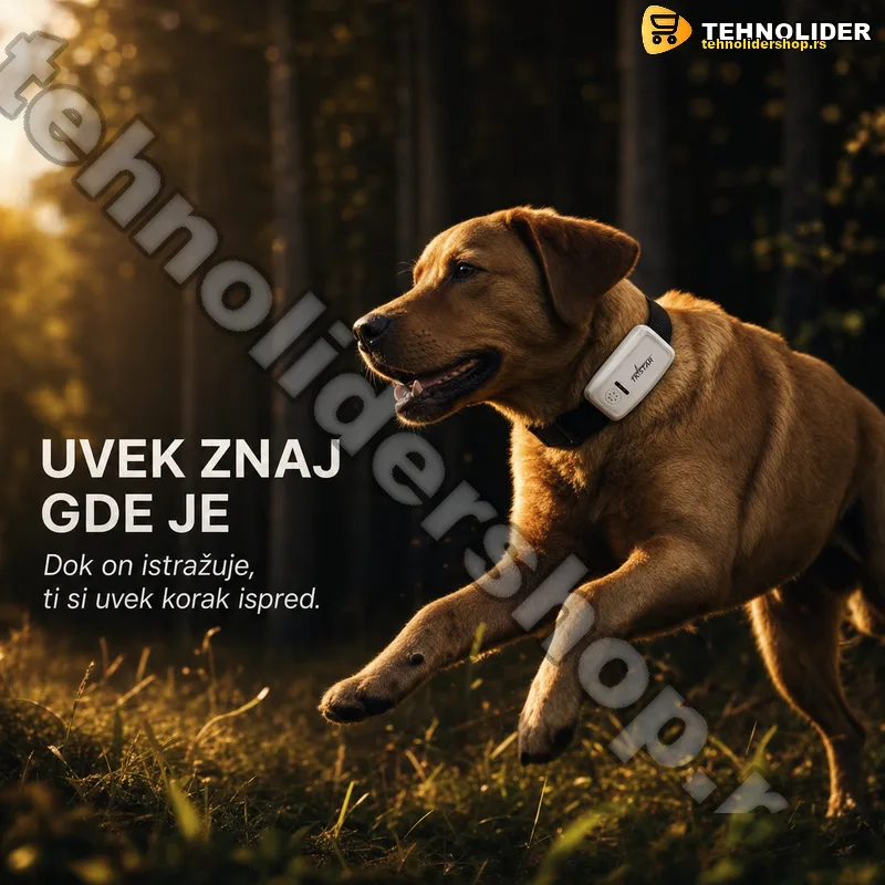 tk-star-tk909-gps-traker-za-pse-tehnolidershop tk-star-tk909-gps-traker-za-pse-tehnolidershop