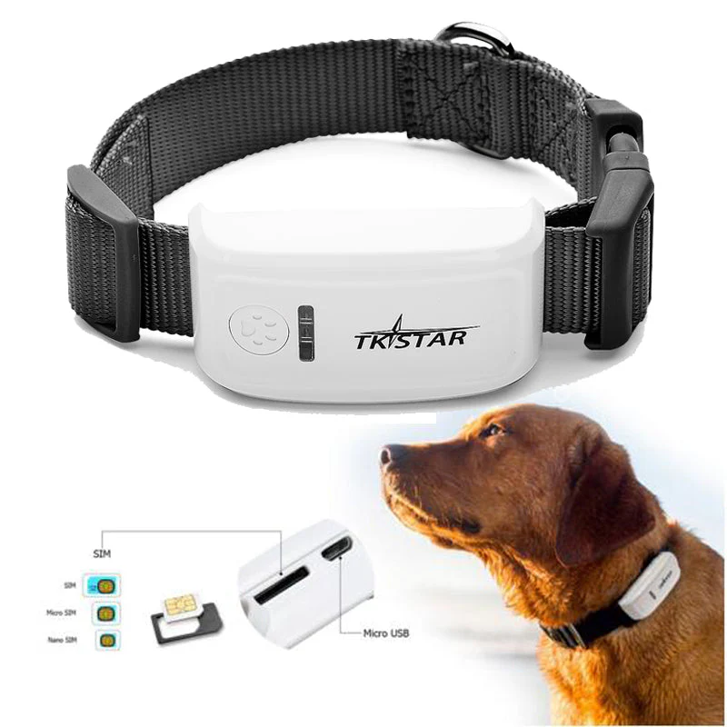 TKSTAR TK909 GPS traker za pse — pametna ogrlica sa praćenjem GPS ogrlica za psa - u upotrebi