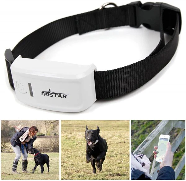 TKSTAR TK909 GPS traker za pse — pametna ogrlica sa praćenjem GPS ogrlica za psa - prednja strana