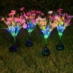 solarne lampe gerberi - prednja strana