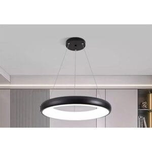 LED luster prstenasti HWJ-170 48W sa daljinskim upravljačem 40/50/60 cm